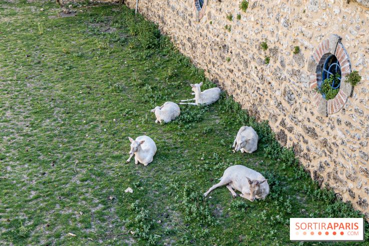 Le Château de Breteuil, ses jardins remarquables et contes de Perrault 
