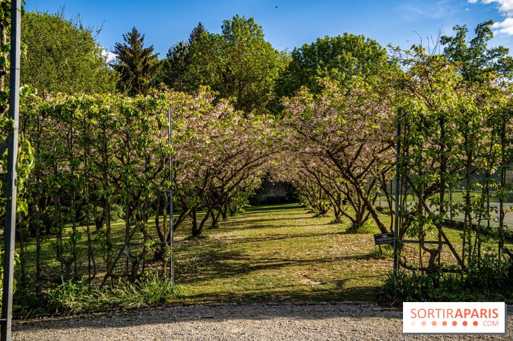 Le Château de Breteuil, ses jardins remarquables et contes de Perrault 