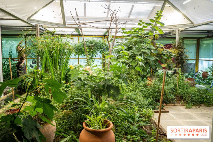 La Serre aux Papillons du Parc Floral 