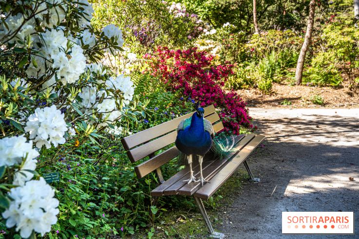 Le Parc Floral en photos 