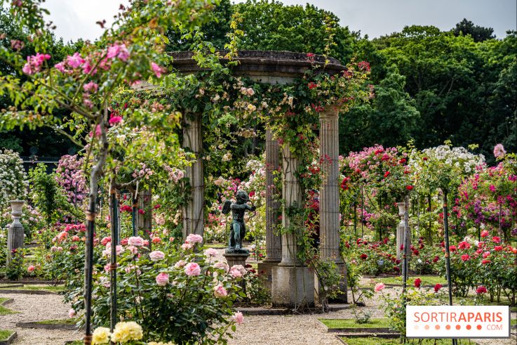 Photos : La Roseraie du val-de-Marne