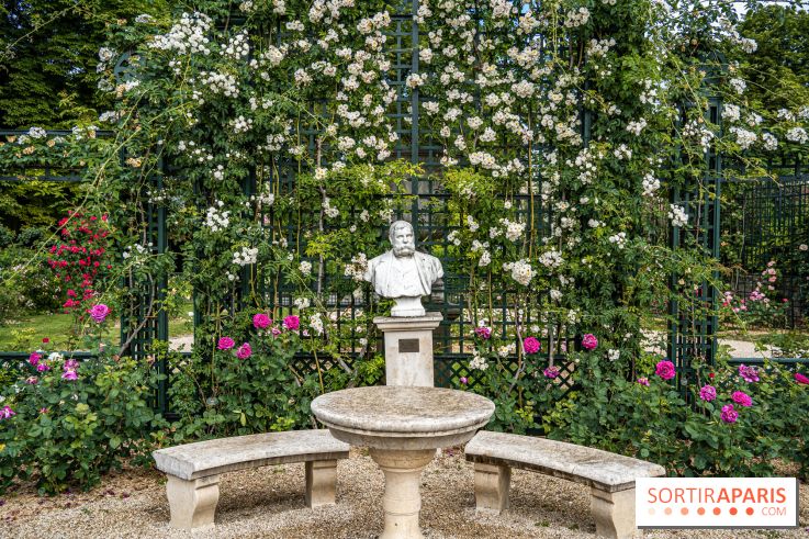 Photos : La Roseraie du val-de-Marne