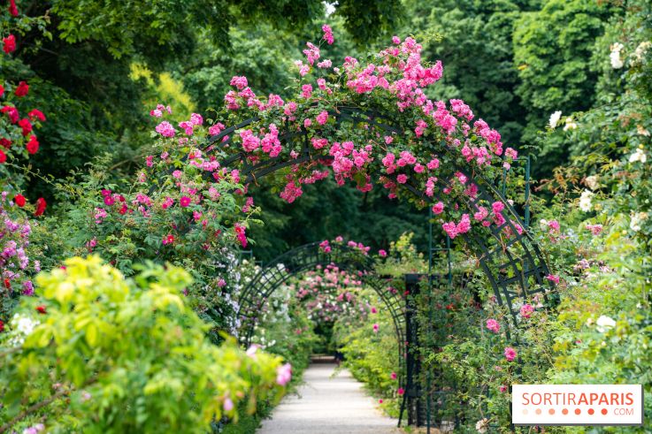 Photos : La Roseraie du val-de-Marne