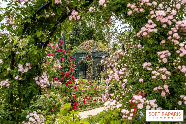Photos : La Roseraie du val-de-Marne