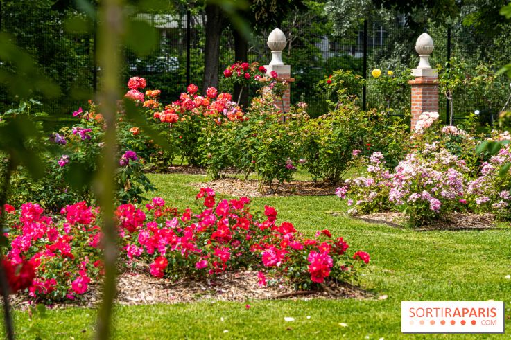 La Roseraie du Parc Lebaudy sur l'Ile de Puteaux