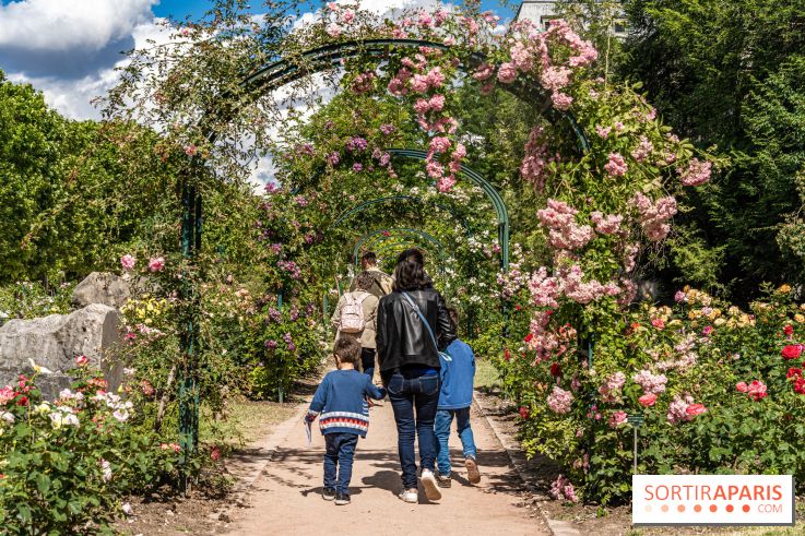 Photos La roseraie du Jardin des Plantes 