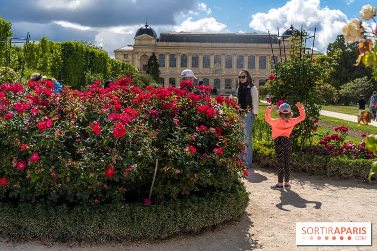 Photos La roseraie du Jardin des Plantes 
