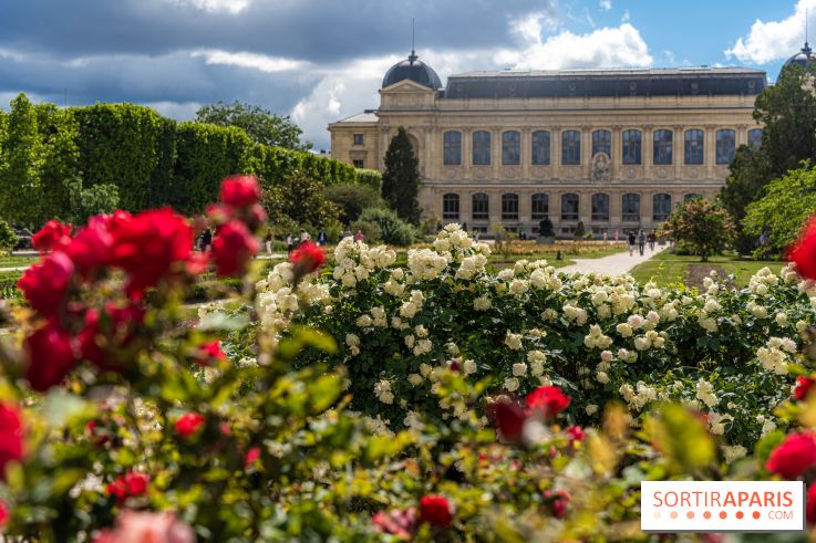 Photos La roseraie du Jardin des Plantes 