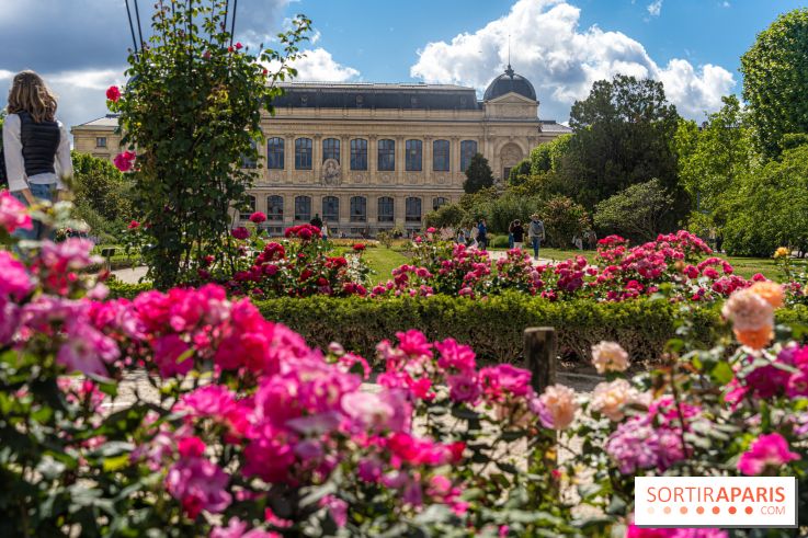 Photos La roseraie du Jardin des Plantes