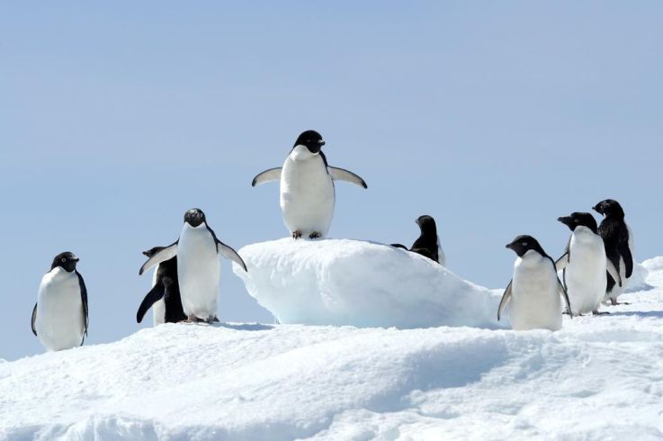 Canicule : 5 films à (re)voir pour se rafraîchir 