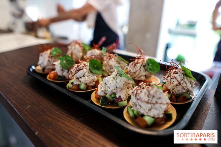 HOBA à Paris, nos photos