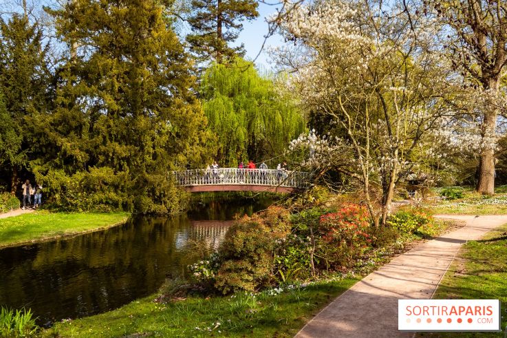 Arboretum de la Vallée-aux-Loups, une balade au milieu des arbres remarquables - A7C09395