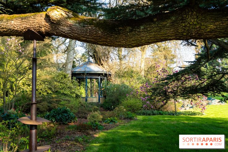 Arboretum de la Vallée-aux-Loups, une balade au milieu des arbres remarquables