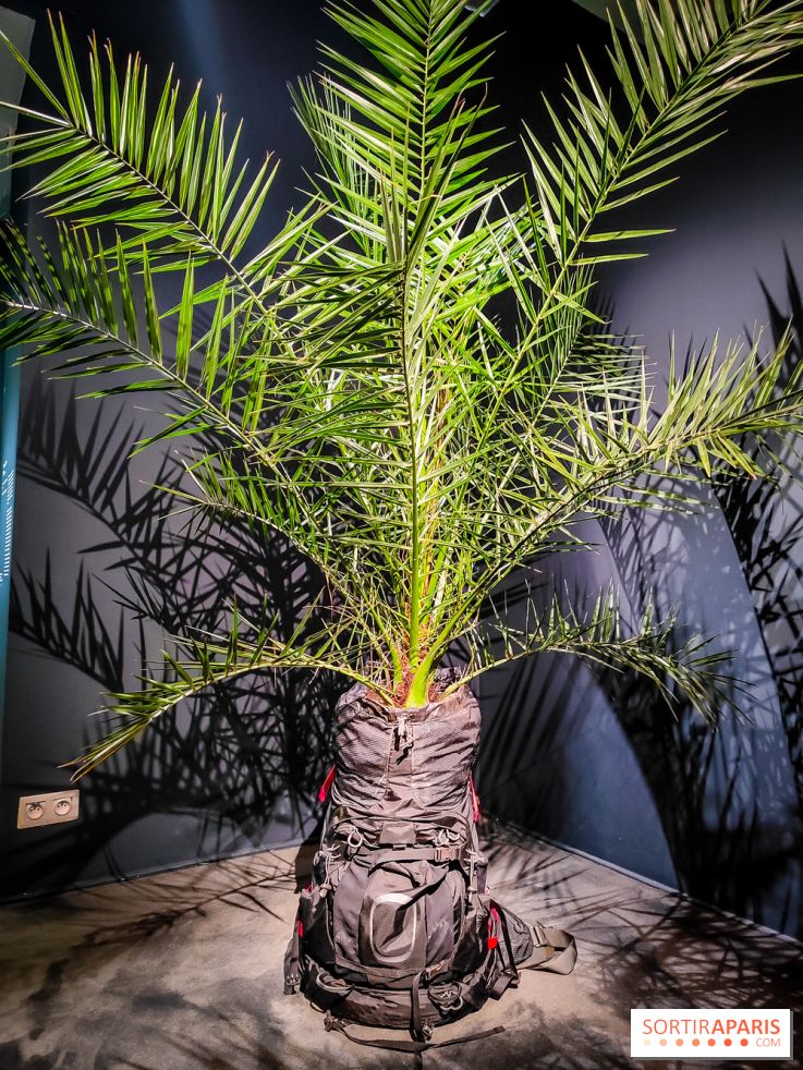 Faut-il voyager pour être heureux ?, l'exposition dépaysante de l'Espace Fondation EDF - nos photos