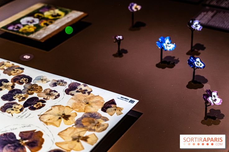 Exposition Végétal  by Chaumet aux Beaux Arts de Paris