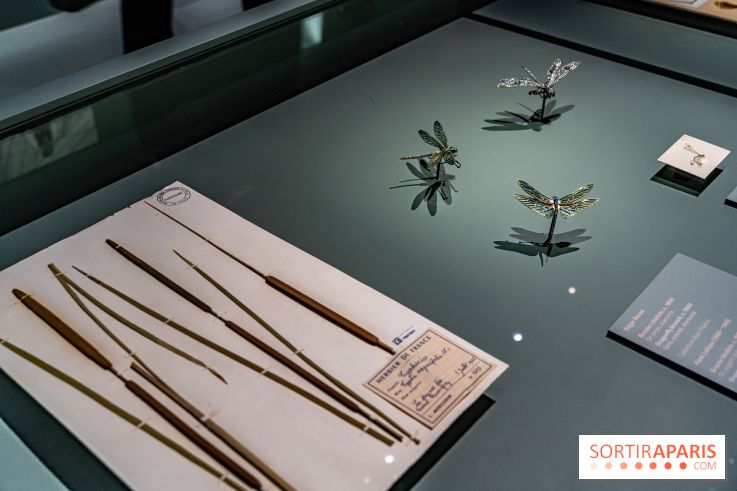 Exposition Végétal  by Chaumet aux Beaux Arts de Paris