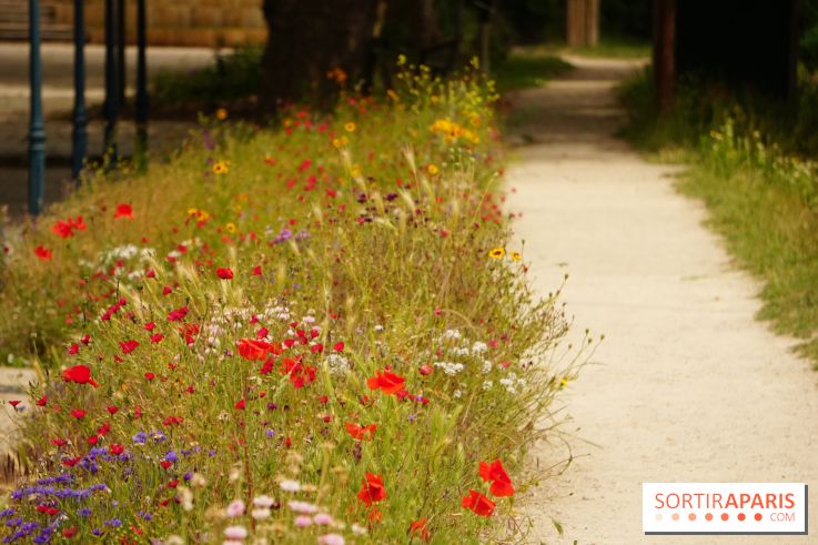 l'Île des Impressionnistes à Chatou
