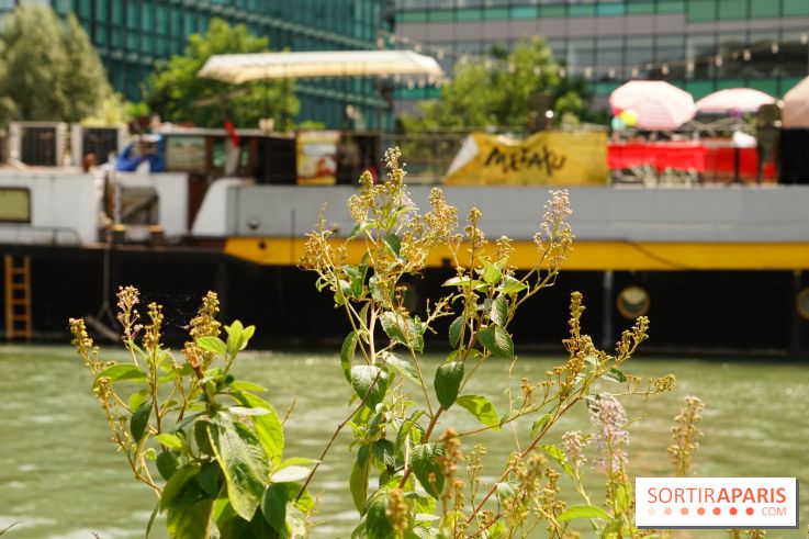 Une balade à vélo depuis Paris pour se rendre aux Cueillettes de Conflans