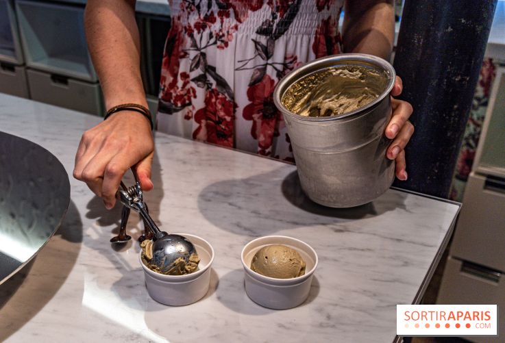 Les glaces de Jacques Génin à Paris