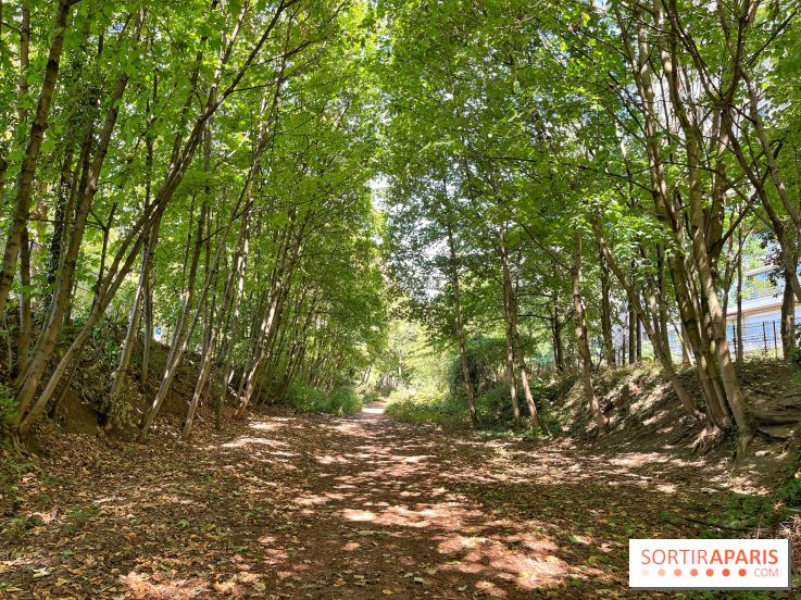 Balade sur la Petite Ceinture du 14 au 16e arrondissement : un sentier nature dépaysant