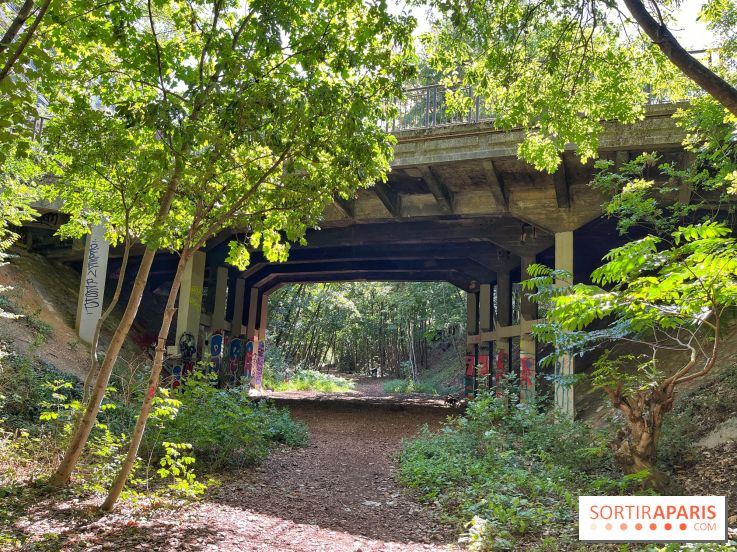 Balade sur la Petite Ceinture du 14 au 16e arrondissement : un sentier nature dépaysant
