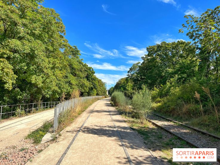 Balade sur la Petite Ceinture du 14 au 16e arrondissement : un sentier nature dépaysant