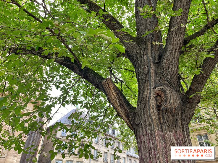 6 anecdotes ésotériques et mystérieuses autour de monuments parisiens