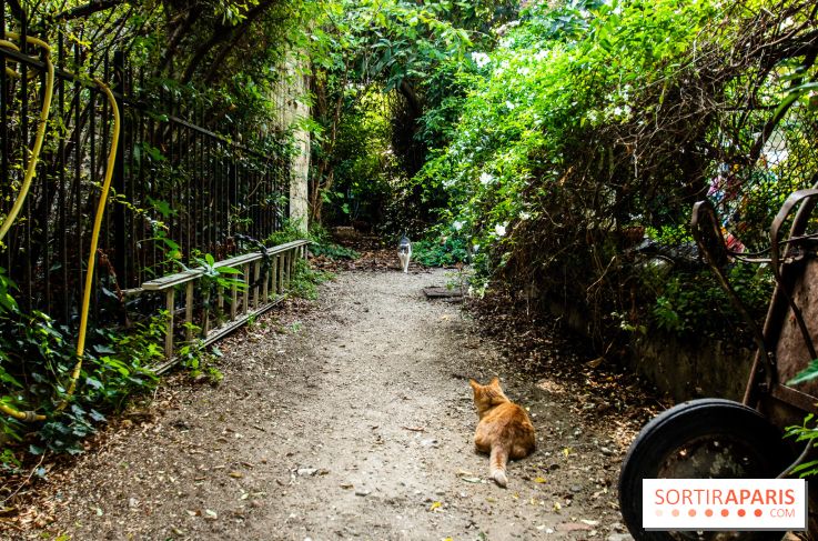 Les villages cachés du 13e arrondissement à Paris