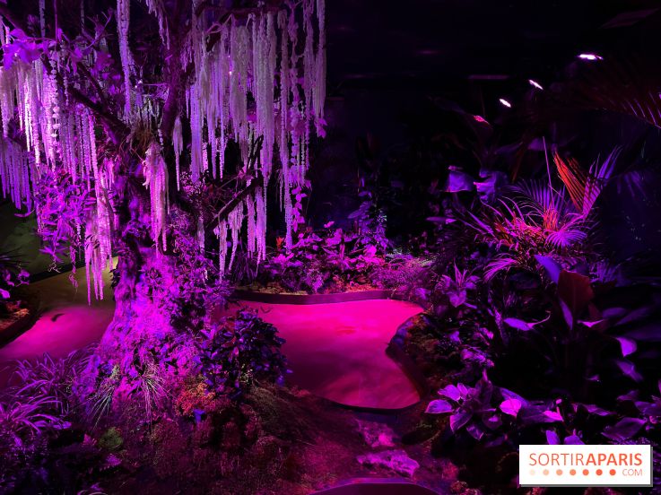 Forêt Bioluminescente - Serre Papillons