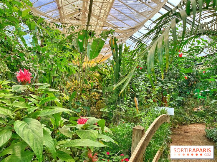 Serre Papillons - La Queue-lez-Yvelines