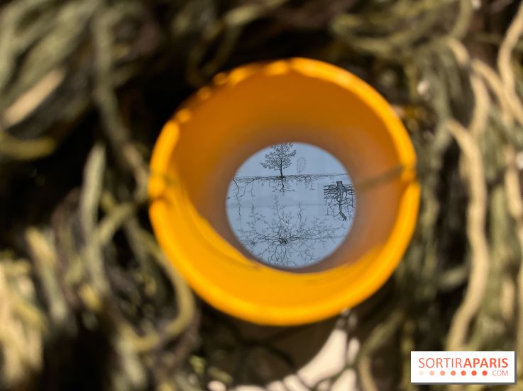 Le Chant des Forêts, l'exposition sensible et gratuite du Maif Social Club