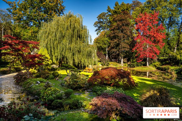Le Jardin japonais du Château de Courances