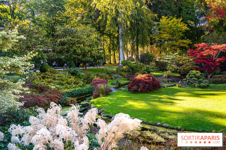 Le Jardin japonais du Château de Courances