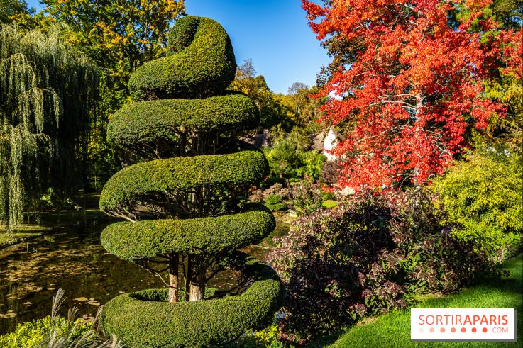 Le Jardin japonais du Château de Courances