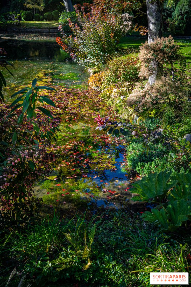 Le Jardin japonais du Château de Courances