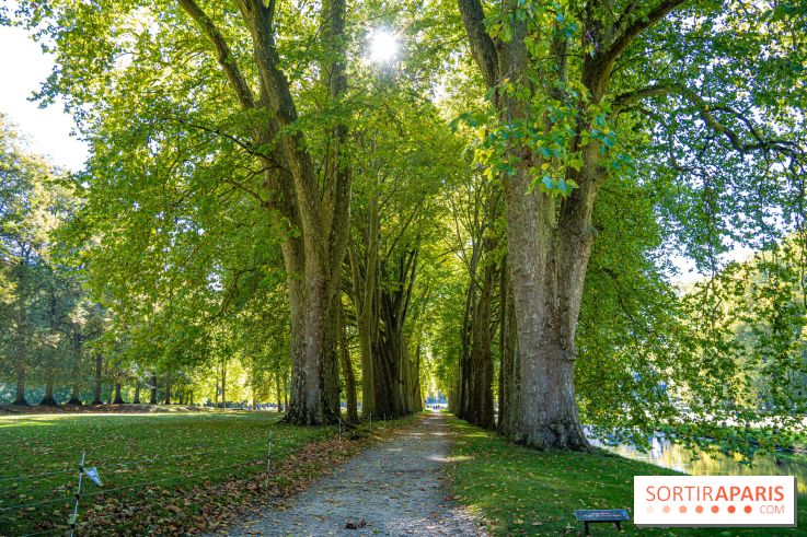 Parc et Domaine du Château de Courances