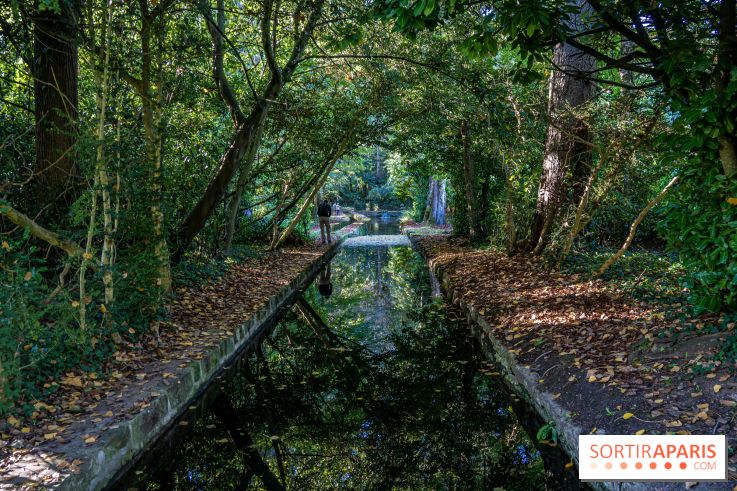 Parc et Domaine du Château de Courances