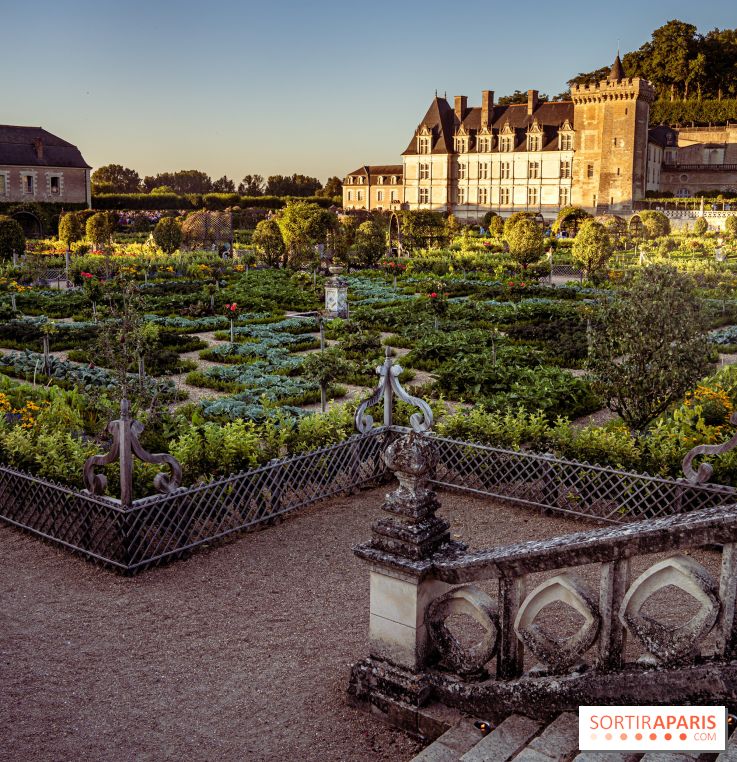 Le Château de Villandry et ses jardins
