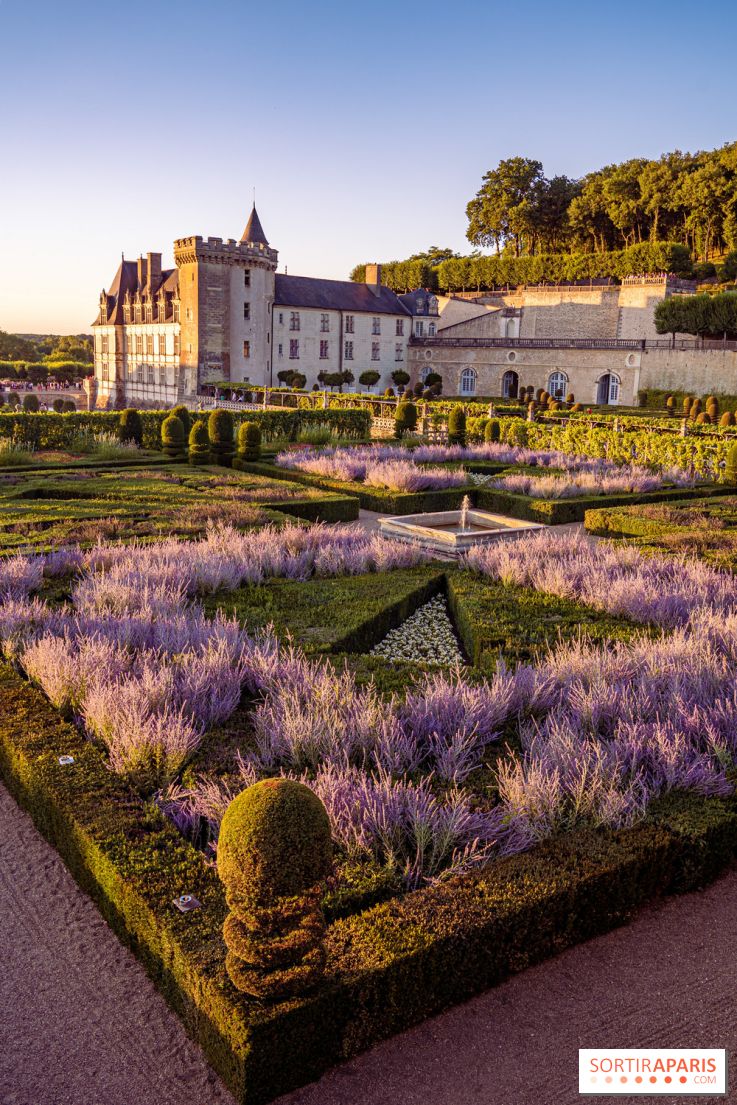 Le Château de Villandry et ses jardins