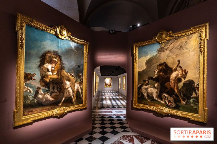 Exposition Louis XV au Château de Versailles - le roi chasseur - lion d'afrique - ours de Pologne - jean Jacques bachelier