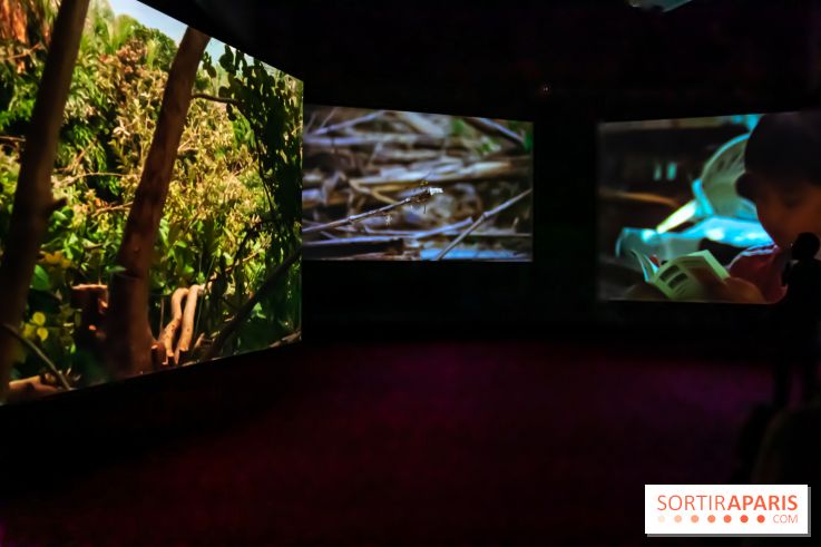 Exposition au Palais de Tokyo : Shéhérazade, la nuit - nos photos