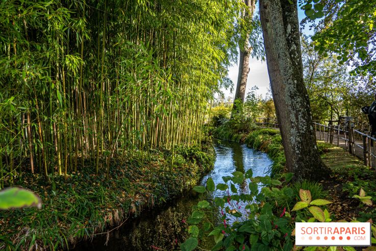 Les Jardins de la Maison Claude Monet à l'automne