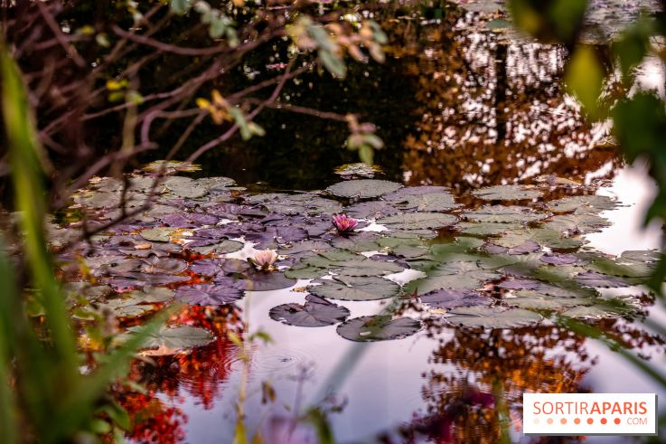 Les Jardins de la Maison Claude Monet à l'automne