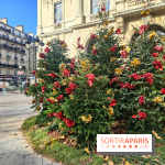 Noël Paris visuels - cadeau - sapin - Marché de Noël - cadeau de Noël - décoration - Mairie 11e