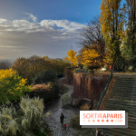 Visuels - Parc de Belleville en automne 