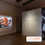 Picasso et la Pr&eacute;histoire, les photos de l'exposition au Mus&eacute;e de l'Homme