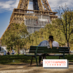 Saint-Valentin visuel saint Valentin - couple