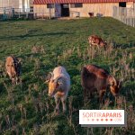 Fermes de Gally - Saint Denis - ED9AAD72 02C7 4C56 B502 2B079F42EDDF