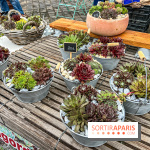 Esprit Jardin à Versailles - Marché aux plantes et animations