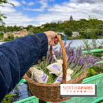 Fête de la Lavande sur le site Seine Aval Achères/Maisons-Laffitte
